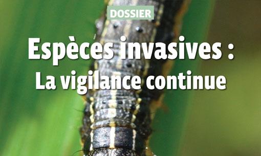 Dossier n°789