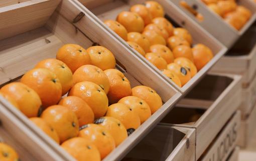L’essentiel, c’est l’orange : une solution de biocontrôle contre les maladies cryptogamiques