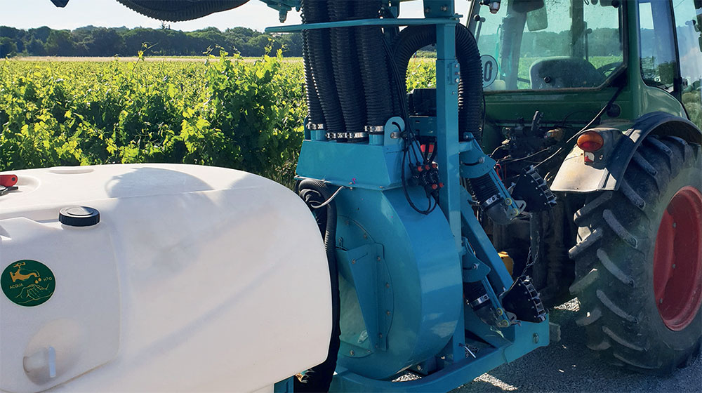 Flavescence dorée : améliorer l’efficacité du pyrèthre naturel en vignoble bio
