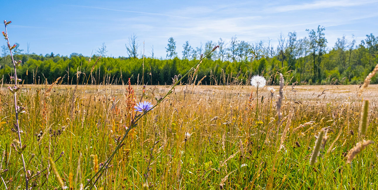 Écophyto 2030 : appel à projets captages-Natura 2000