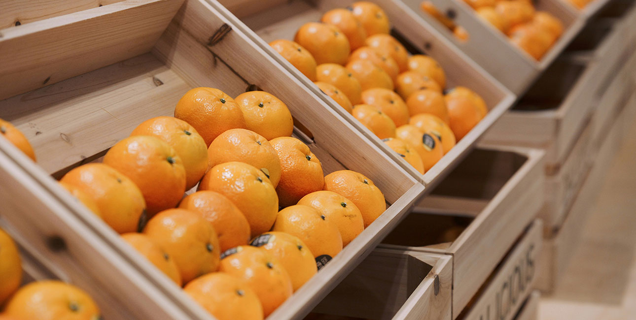 L’essentiel, c’est l’orange : une solution de biocontrôle contre les maladies cryptogamiques